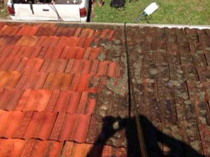 roofing repairs