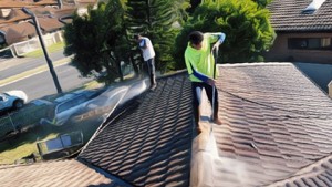 roof painters Melbourne